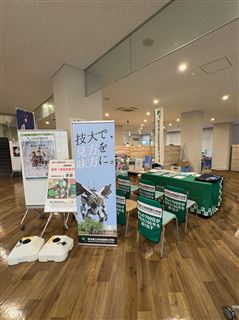 IMG_4049 (1)