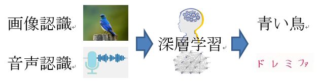 機械学習と情報可視化の手法に関する研究